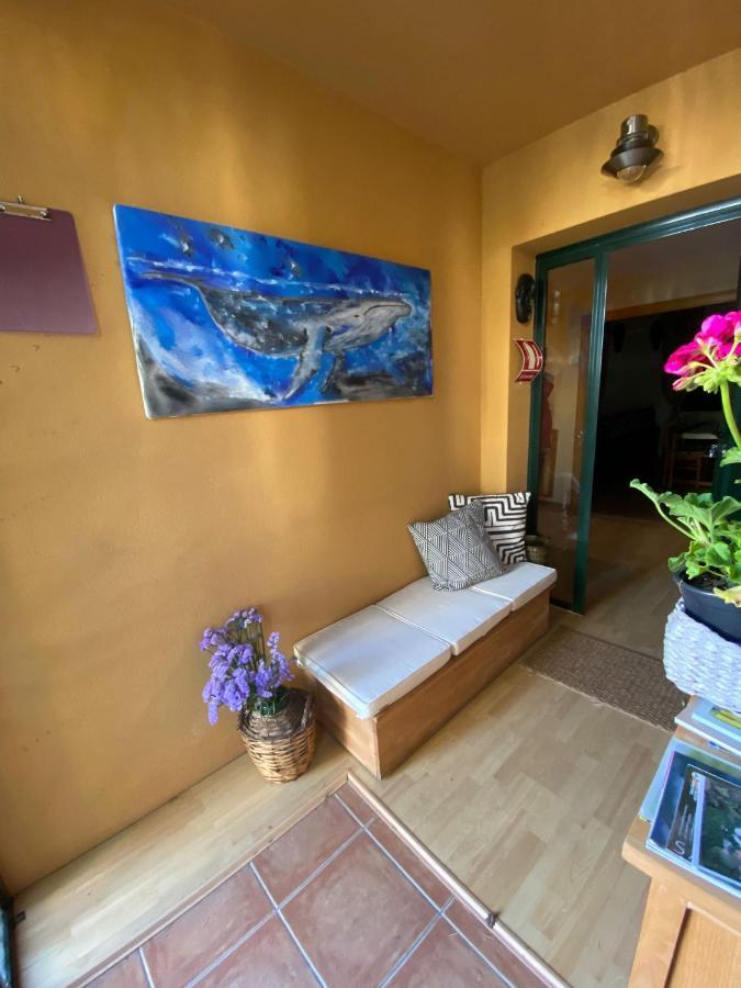 Casa Loureal Ribeira Sacra Ourense Eksteriør billede